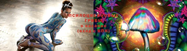 марки nbome Верхний Тагил