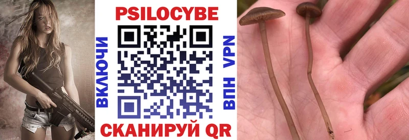 Галлюциногенные грибы ЛСД  Чегем 